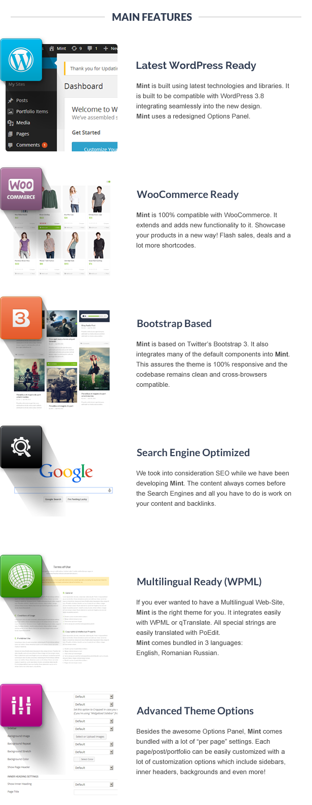 Mint - Responsives Mehrzweck-WordPress-Vorlage - 15