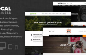 Local Business – WP Template für kleine Unternehmen