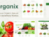Organix - Bio-Lebensmittel WooCommerce WordPress Layout