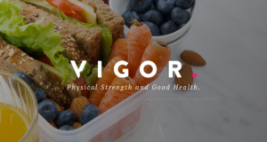 Vigor – Ein Responsive News Magazine Blog WordPress Template