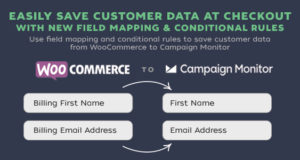 WooCommerce Checkout-Newsletter – Kampagnenmonitor