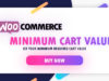 WooCommerce-Mindestwert für den Warenkorb
