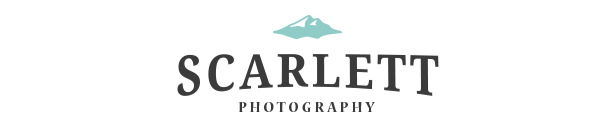 Wordpress Scarlett - Responsives WooCommerce-Design