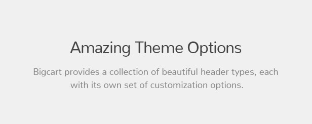 Bigcart - Sauberes, modernes WordPress-Layout für WooCommerce - 19