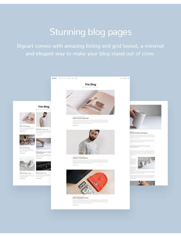Bigcart - Sauberes, modernes WordPress-Layout für WooCommerce - 22