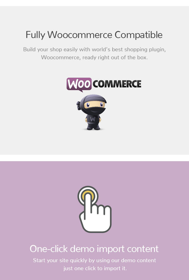 Bigcart - Sauberes, modernes WordPress-Layout für WooCommerce - 4