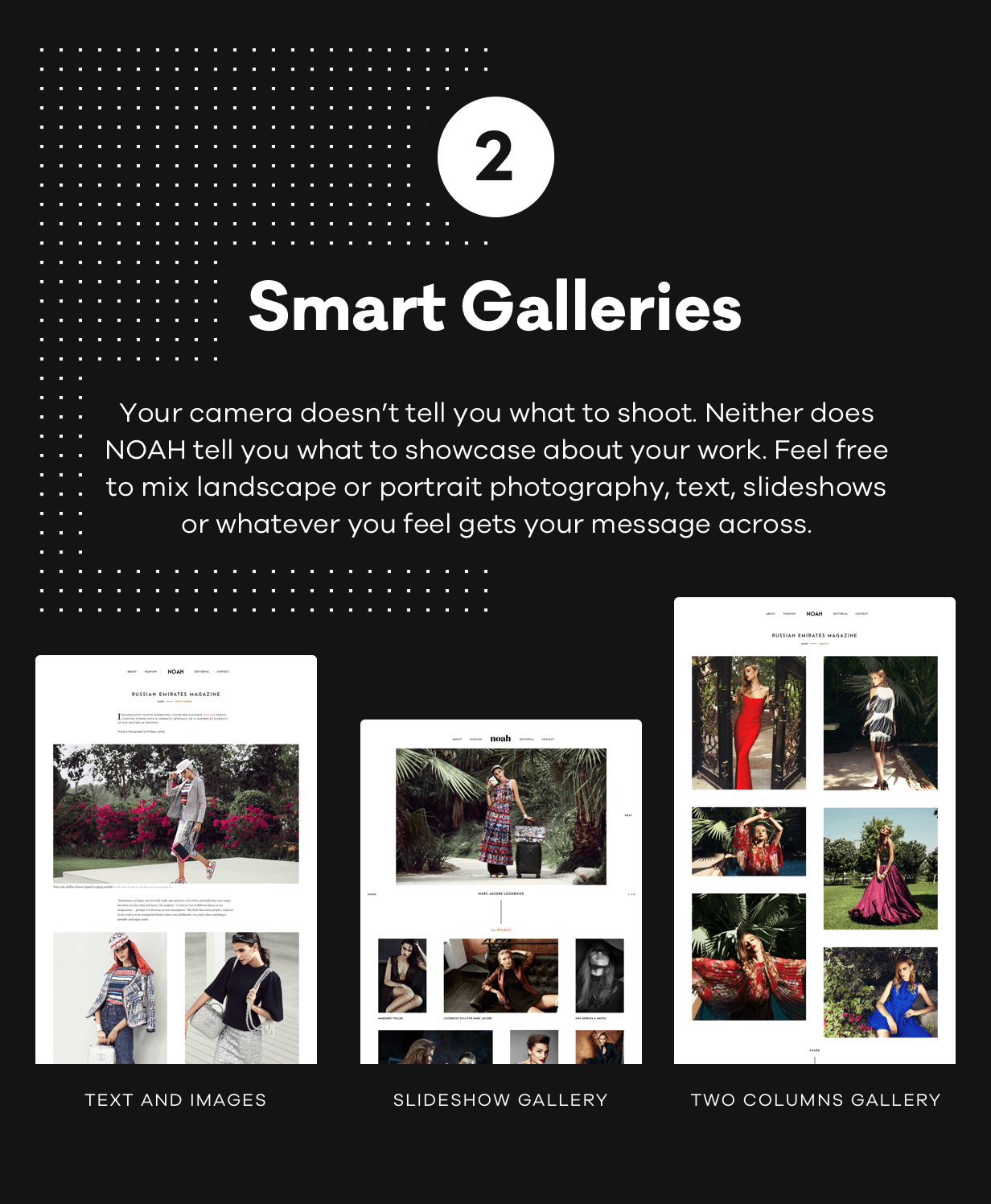 NOAH - Ein witziges Fotografie-WordPress-Template - 3