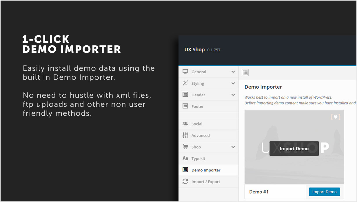 1-Click Demo-Importprogramm