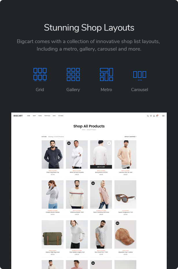 Bigcart - Sauberes, modernes WordPress-Layout für WooCommerce - 9