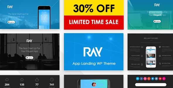 Ray - App Responsive WordPress Vorlage - Softwaretechnologie