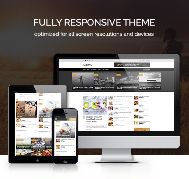 Wordpress-Layout mit Leichtigkeit anpassen