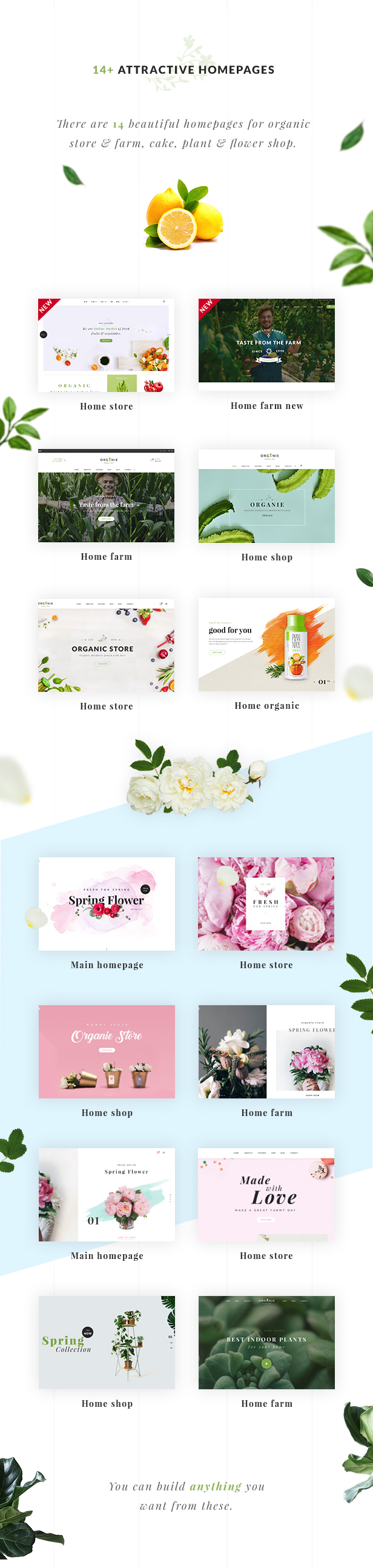 Organic Store WordPress-Template - 12 und mehr organische Homepages