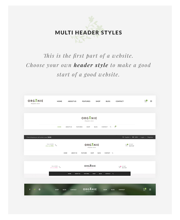 Organic Store WordPress-Template - Mehrere Header-Stile