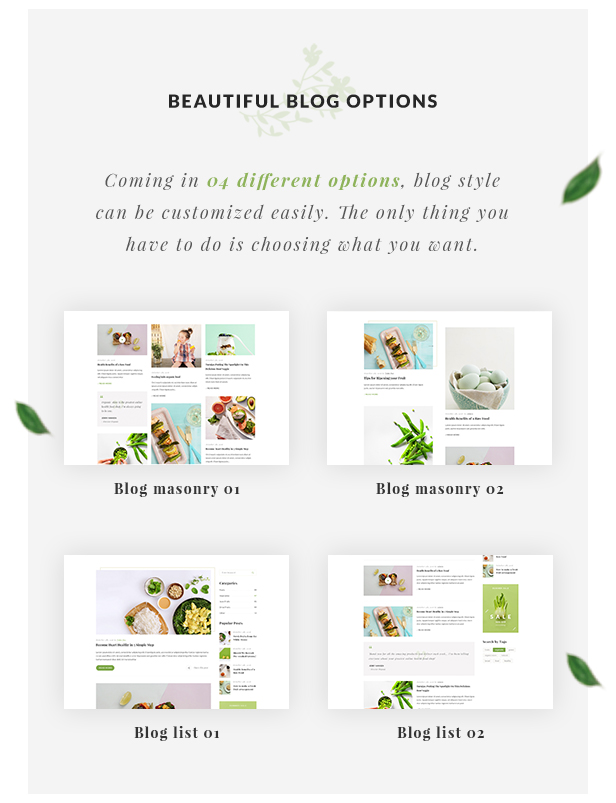 Organic Store WordPress-Template - Blog-Optionen