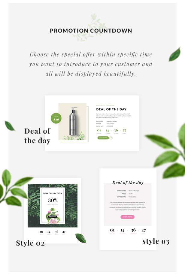 Organic Store WordPress-Template - Aktions-Countdown