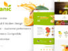 AmyOrganic - Organisches und gesundes Template für WordPress