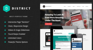 Distrikt: Responsives Mehrzweckthema