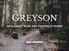 Greyson - Responsive Blog & Portfolio Vorlage
