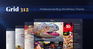 Grid312 – Professionelles Blog-WordPress-Layout