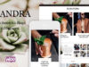Kasandra - Ein responsives WordPress Blog und Shop Vorlage