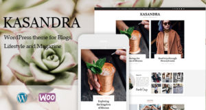 Kasandra – Ein responsives WordPress Blog und Shop Vorlage