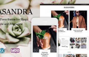 Kasandra – Ein responsives WordPress Blog und Shop Vorlage