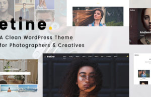 Retine – Ein WordPress-Vorlage für Fotografen und Kreative