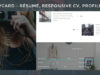 Vcard - Responsive CV WordPress Layout