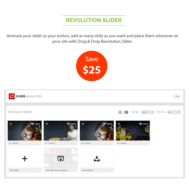 des_07_revolution_slider