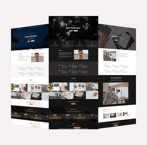 Domior – Kreatives persönliches Portfolio-WordPress-Shop-Theme – 5