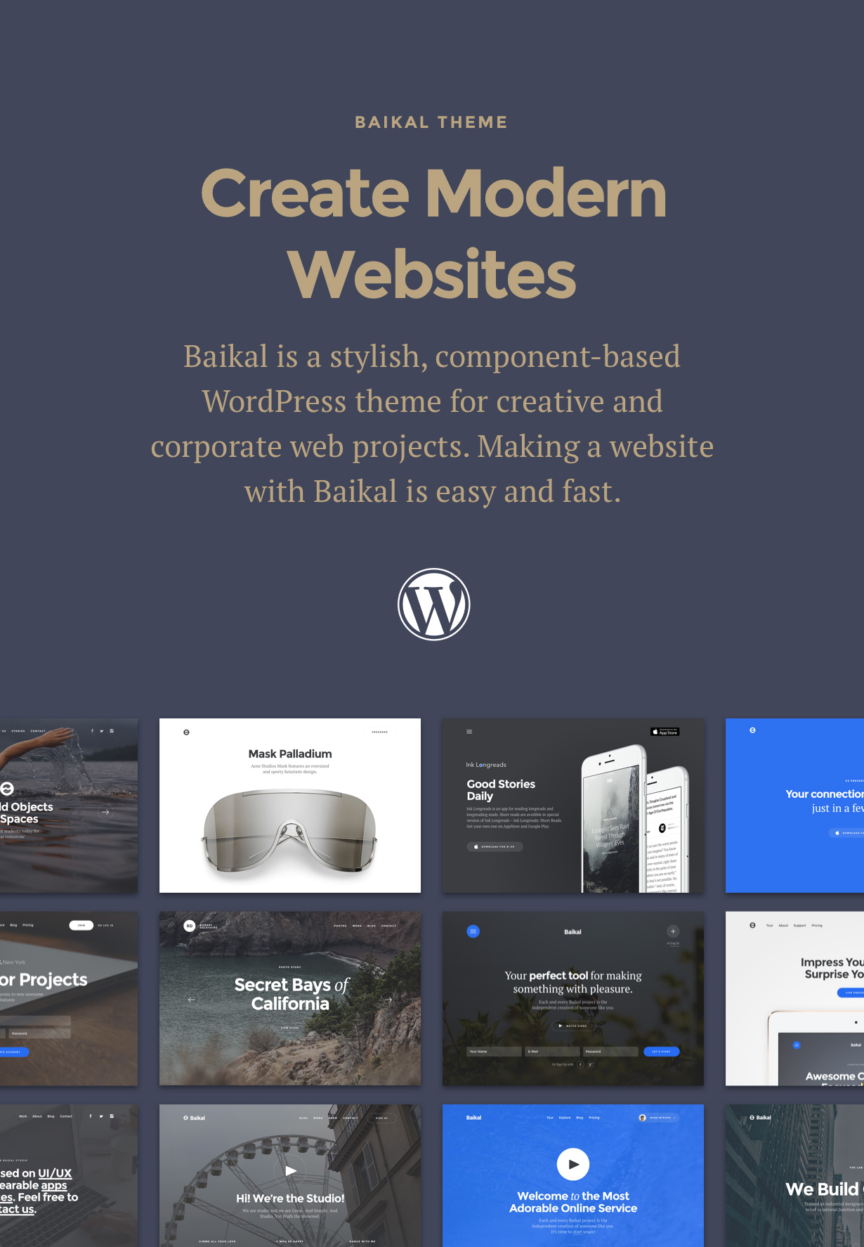 Baikal - Responsives WordPress-Mehrzweckthema - 1