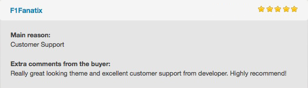 Storefie - Hochkonvertiertes eCommerce WordPress Vorlage - 10