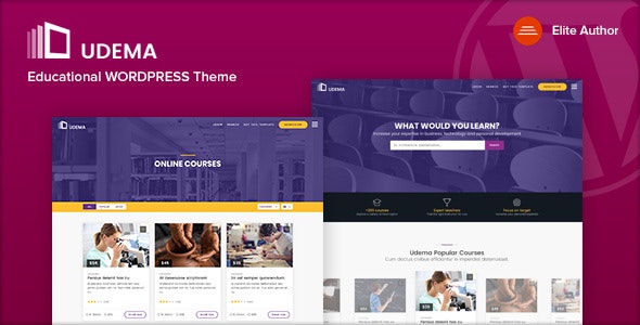 Eduvision - Online-Kurs Mehrzweckausbildung WordPress Vorlage - 2