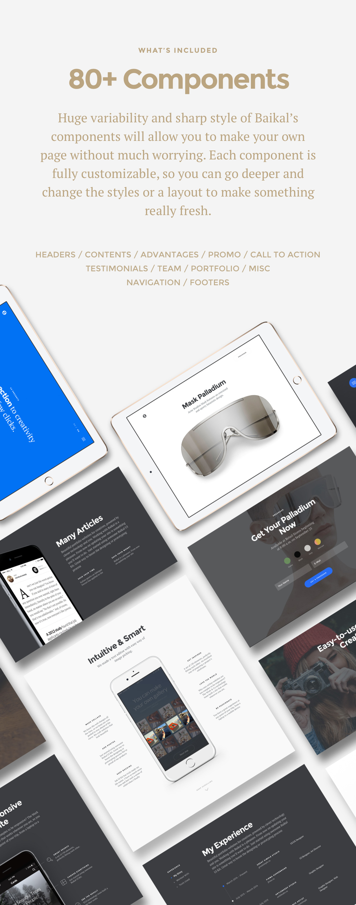 Baikal - Responsives WordPress-Mehrzweckthema - 2