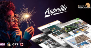 Asprilla – ein Multi-Concept-Blog-Vorlage für WordPress