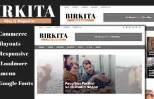 Birkita – WordPress Blog und Magazine Vorlage