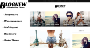Blognew – Ein einfaches WordPress-Blog-Layout