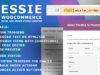 Essie Email und Order Status Creator für WooCommerce