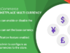 Marketplace Multi Currency Plugin für WooCommerce