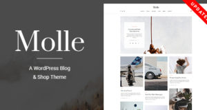 Molle – Ein WordPress Blog & Shop Vorlage