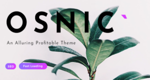 Osnic – AD-optimiertes Blog- / Magazinthema für Adsense & Affiliate