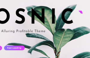 Osnic – AD-optimiertes Blog- / Magazinthema für Adsense & Affiliate
