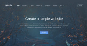 Splash – Business WordPress Vorlage
