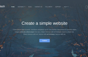Splash – Business WordPress Vorlage