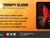 Trinity Slider Addon für WPBakery Page Builder (ehemals Visual Composer)