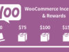 WooCommerce Incentives & Belohnungen