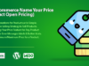 WooCommerce Name Ihr Preis (Produkt Open Pricing)