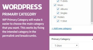 WordPress-Hauptkategorie