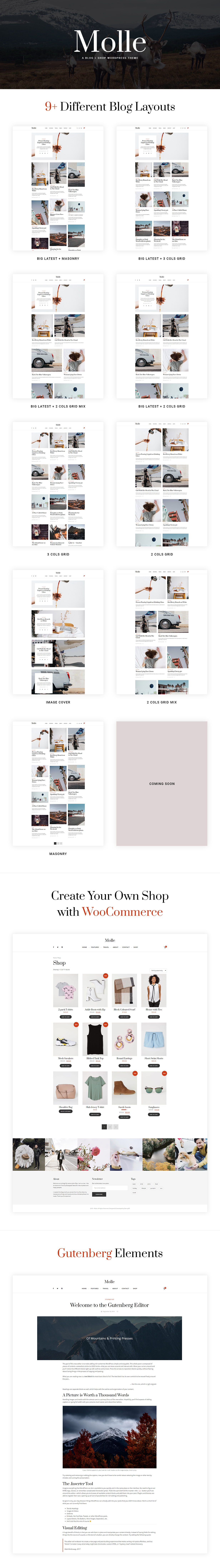 Molle - Ein WordPress Blog & Shop Vorlage - 1