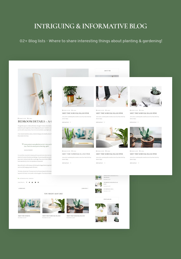 Das Green - Zimmerpflanzen & Garten WordPress Theme